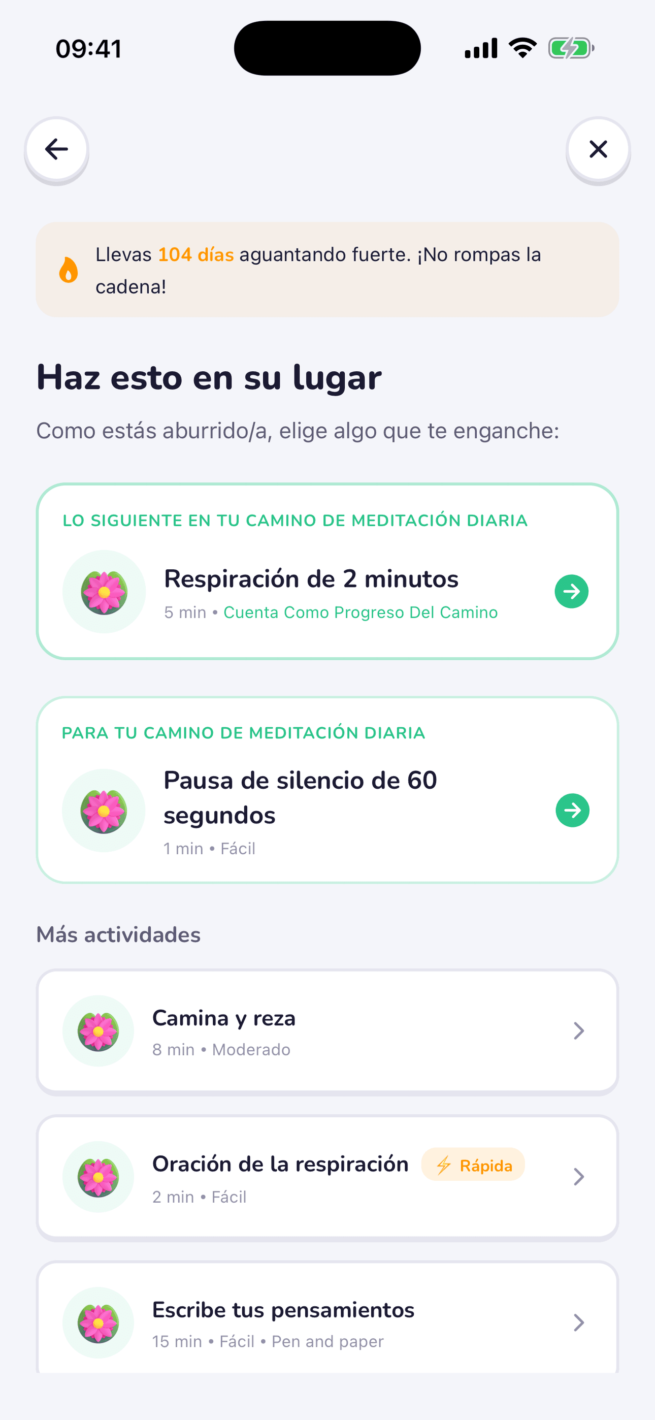 Captura de pantalla de la app Replacify
