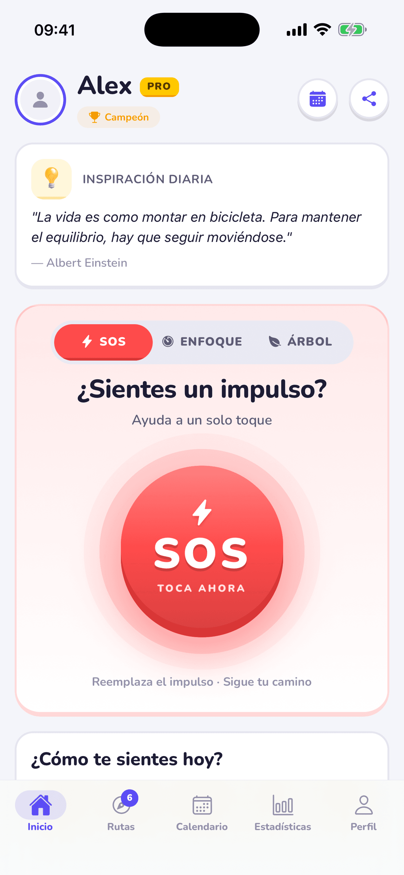 Captura de pantalla de la app Replacify