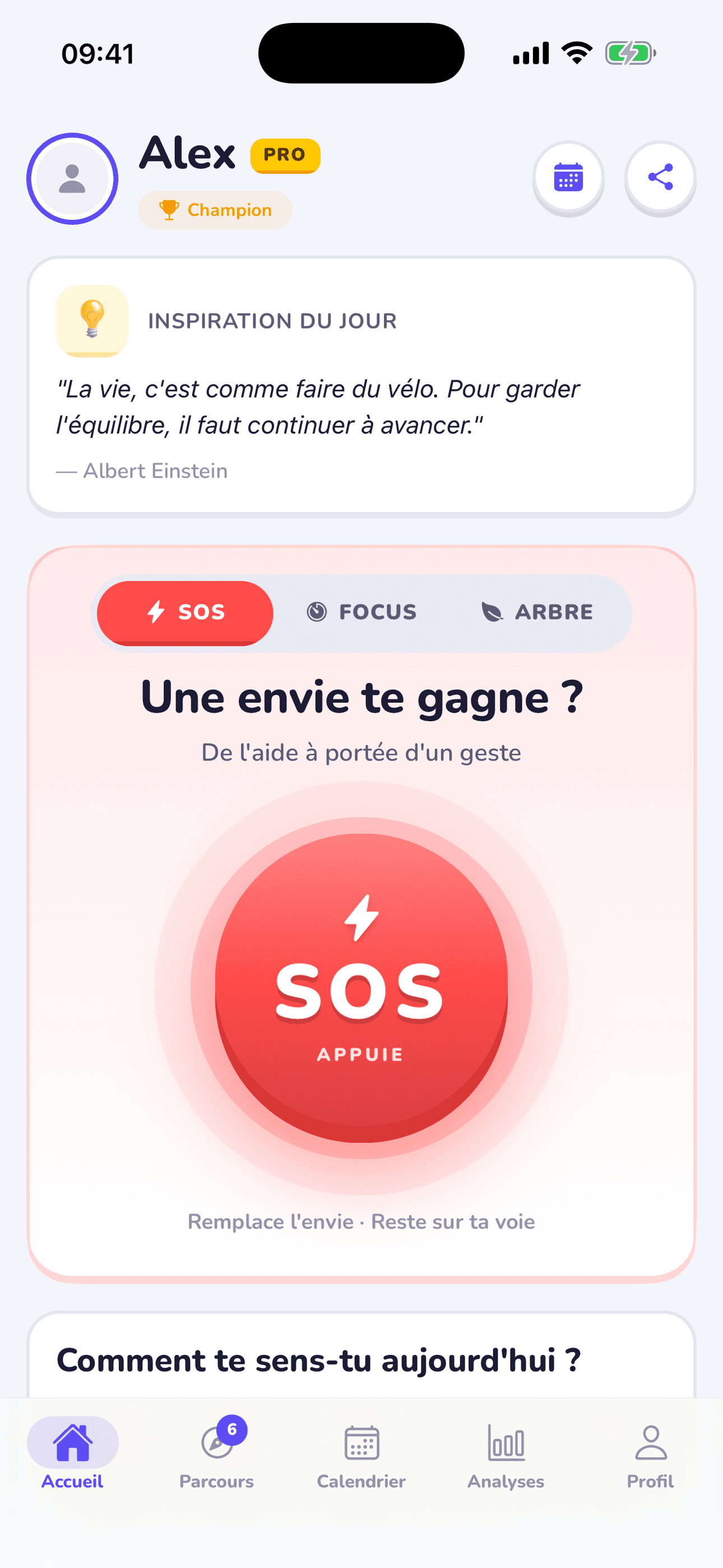 Capture d'écran de l'application Replacify