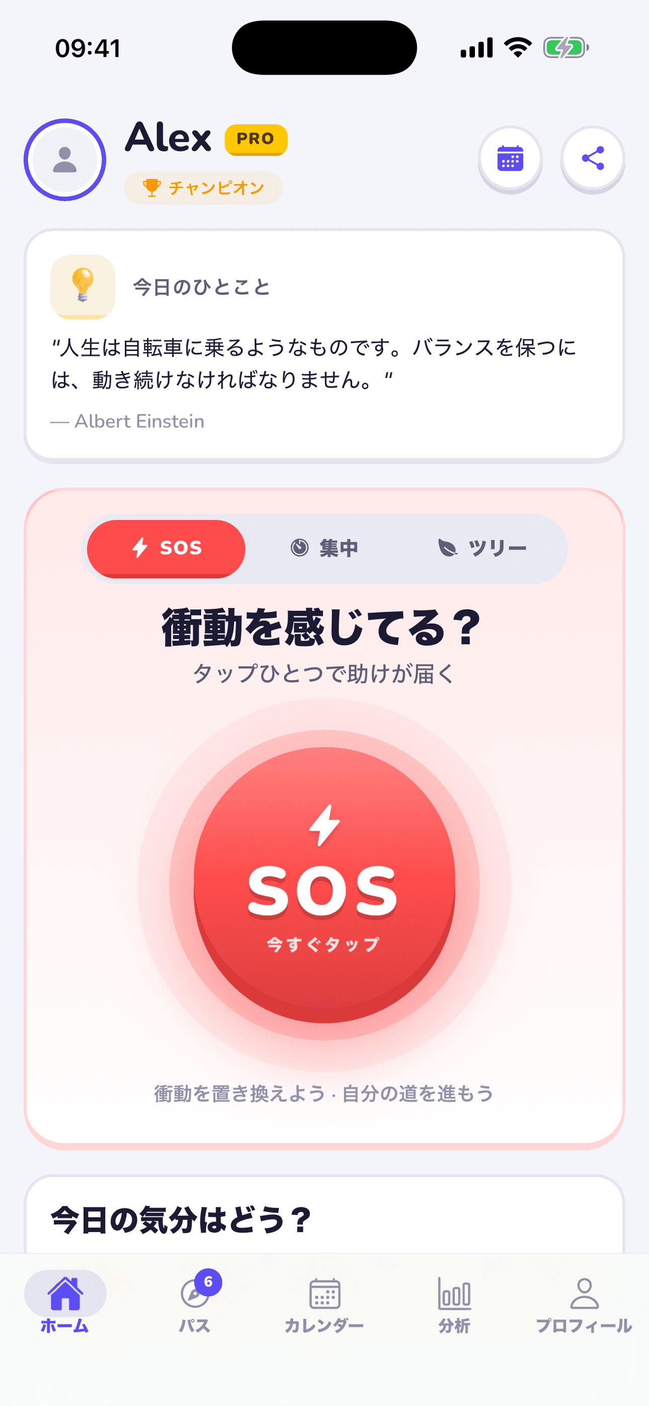 Replacify アプリのスクリーンショット