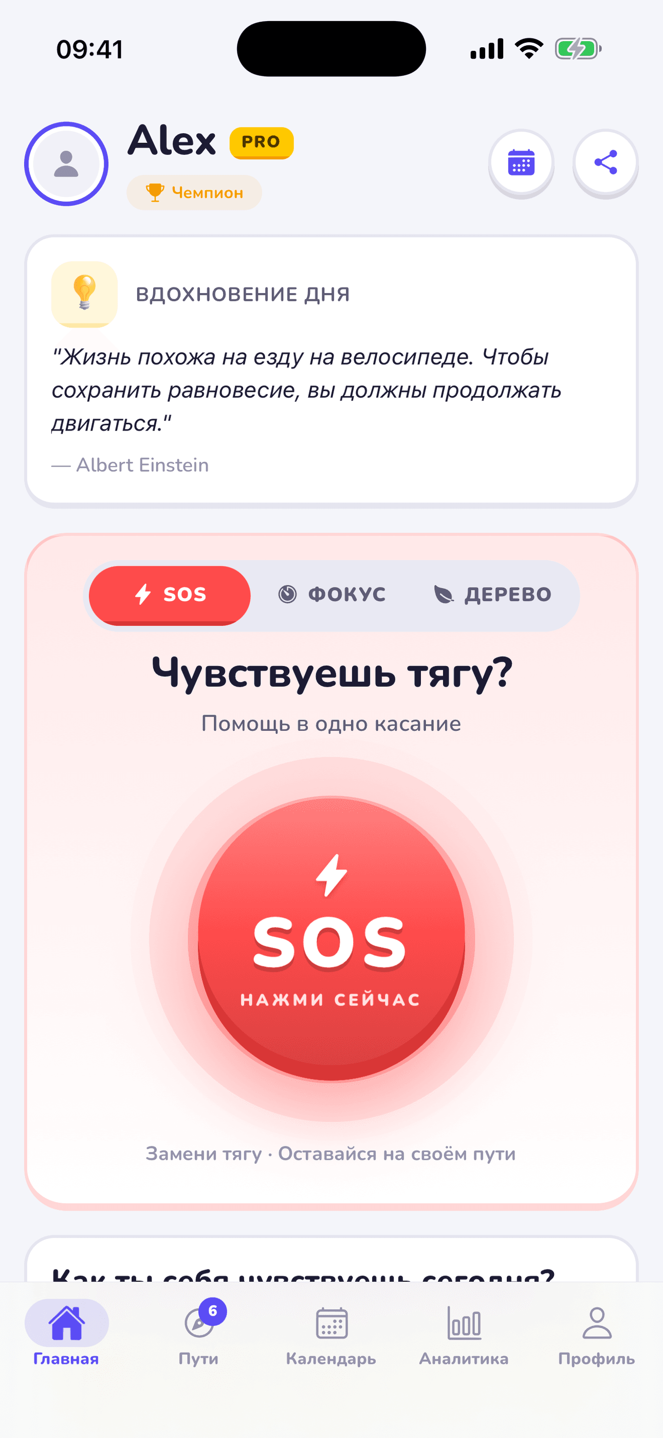 Скриншот приложения Replacify