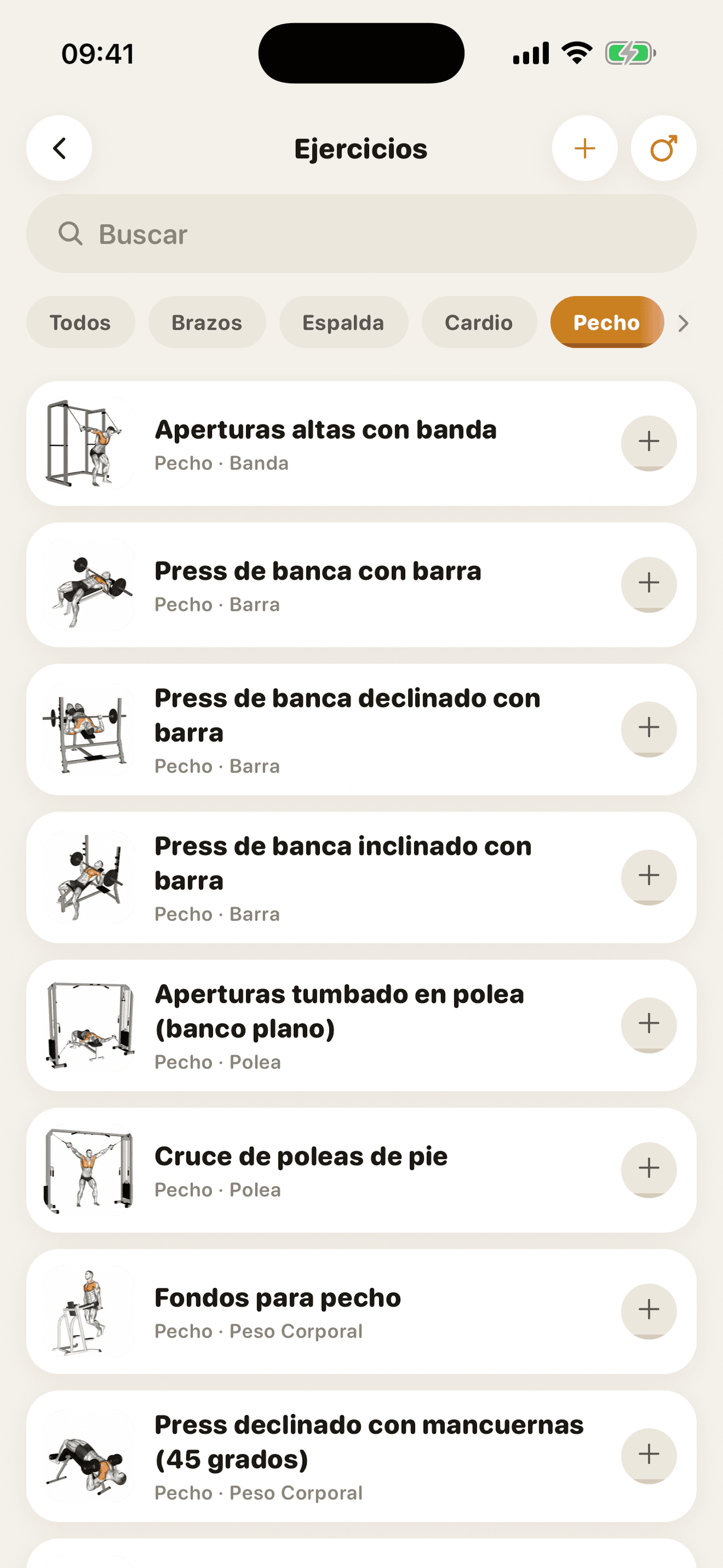 Biblioteca de ejercicios con buscador