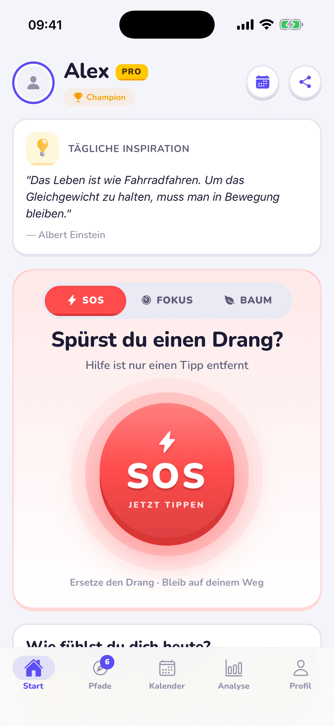 Screenshot der Replacify-App