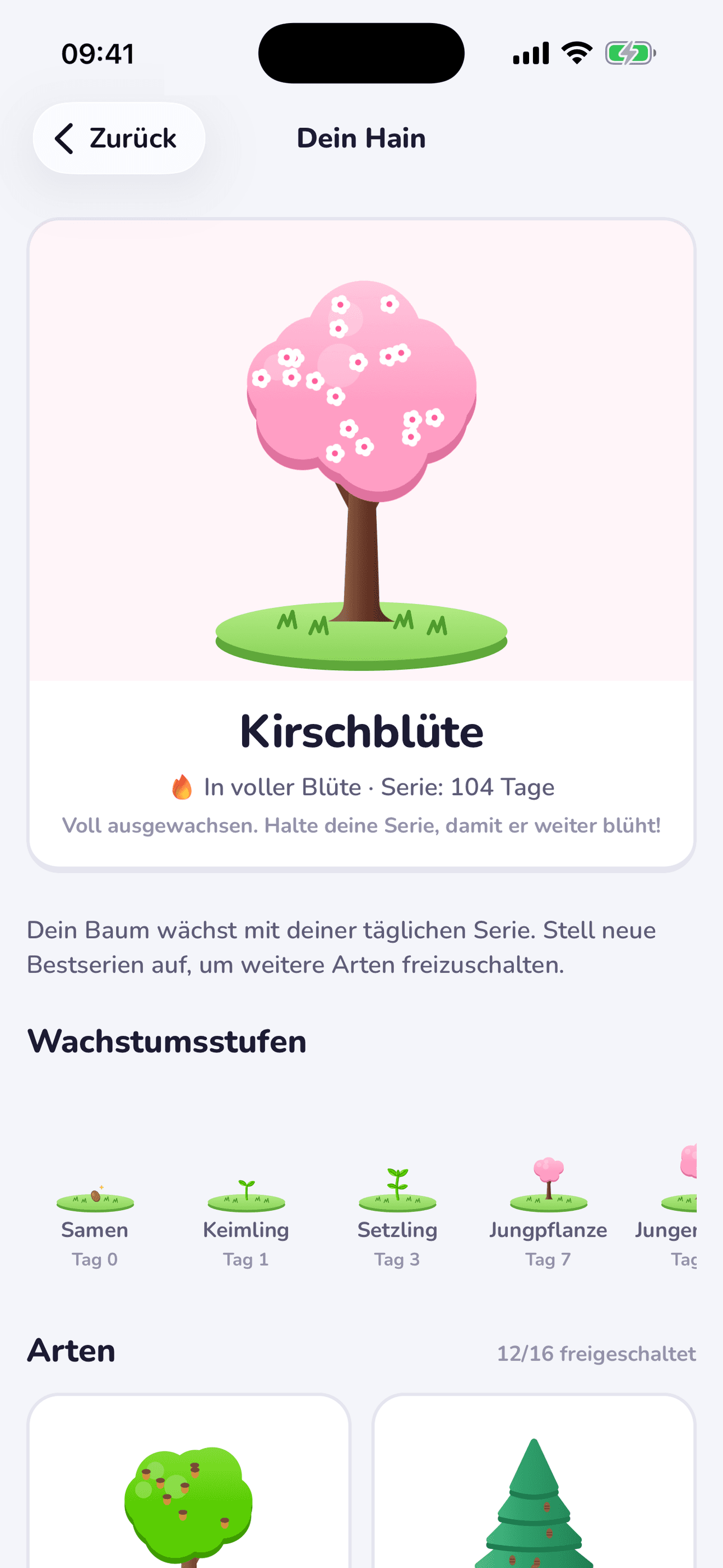 Dein Streak-Baum