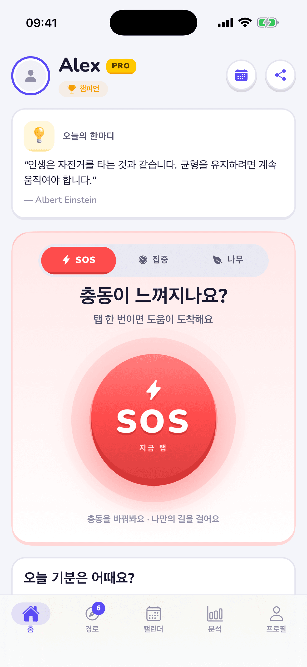 Replacify 앱 스크린샷