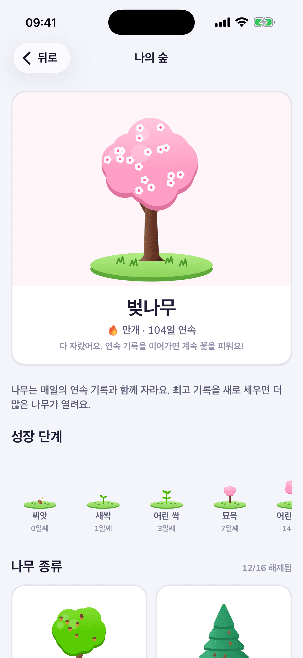 나의 연속 기록 나무
