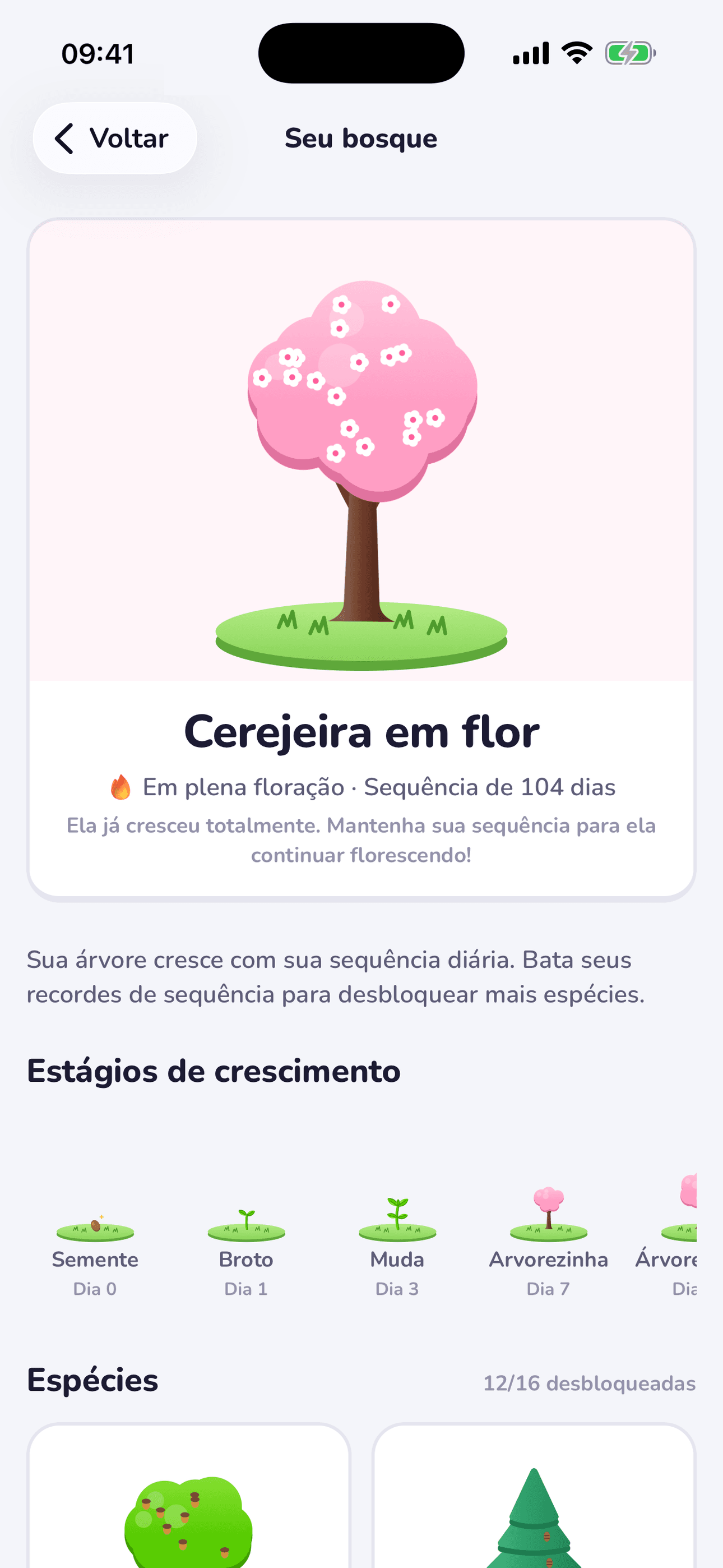 Sua árvore de sequência