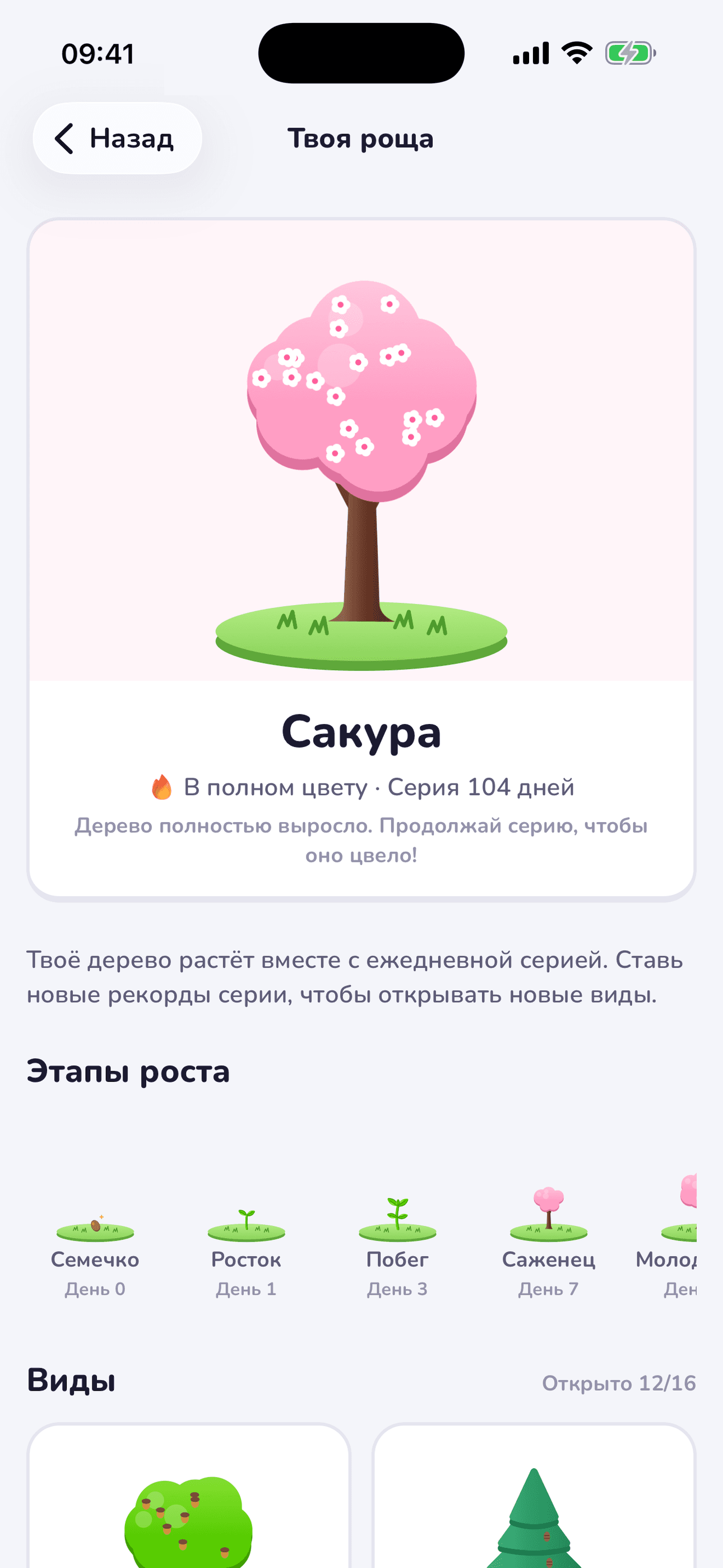 Ваше дерево серии
